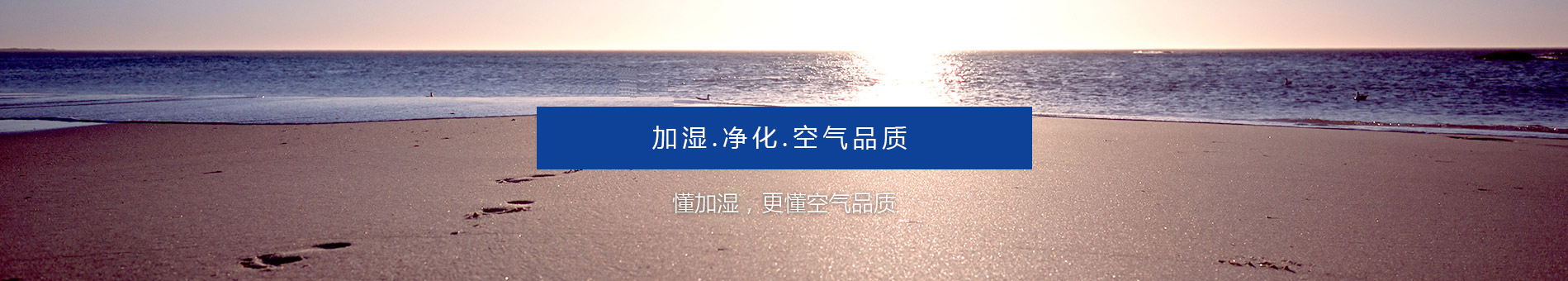 公司介紹